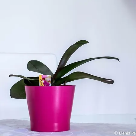 Giusy Monreale * Cagliari